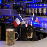 Bar le Ti'bar à Angers