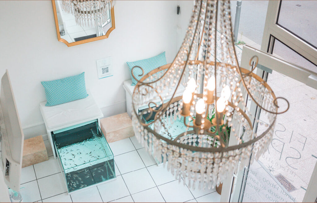 Fish Spa international